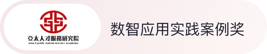 数智应用实践案例奖